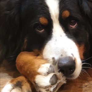 Meet your Posher, Deborah